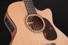 Furch Blue Gc-CM LR Baggs SPE Gitara Elektro-Akustyczna